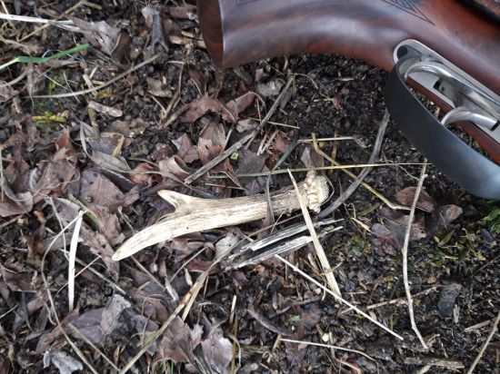 pozornosť od mladíka za krmelcom