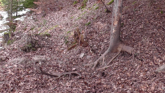 Dvojkilová dvanástka