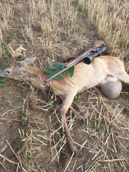 Vykúpenie od bolesti- prúh