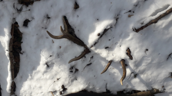 Minulorocny 12 torak