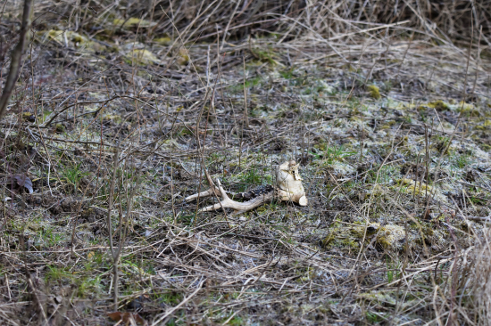 Předtucha se naplnila.
