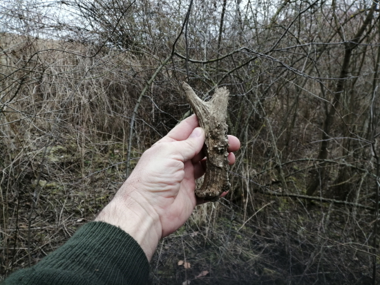 Černá opět úřadovala.