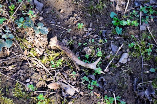 Velikonoční pondělí 2.