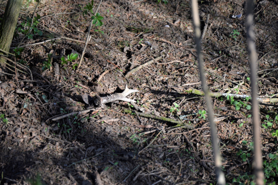 Konečně čerstvý!