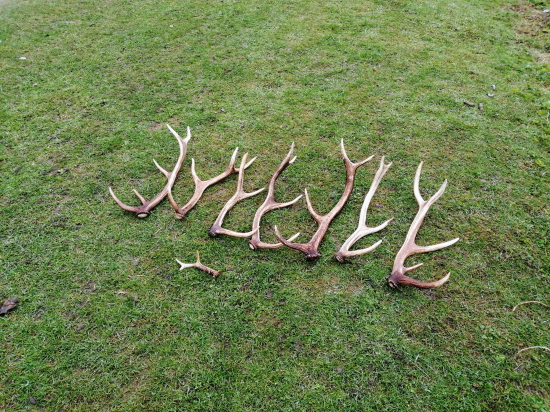 Výsledek nedělního snažení.