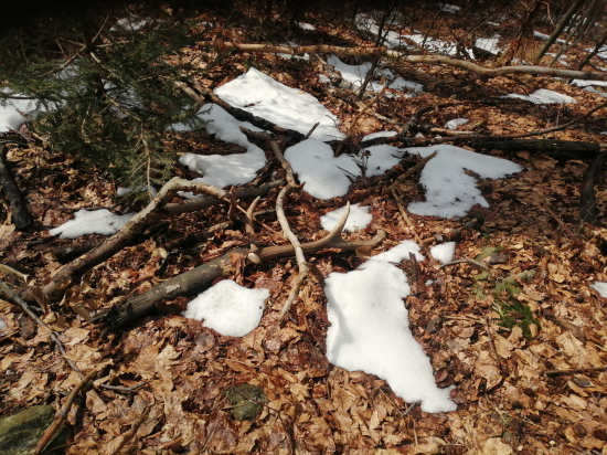 Další úspěšný den.