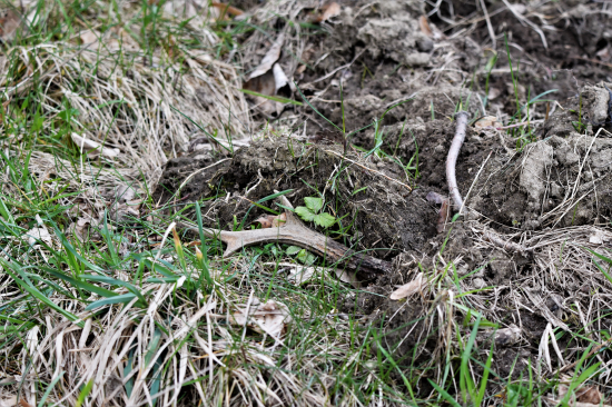 Hurá do druhé pětistovky!:-))