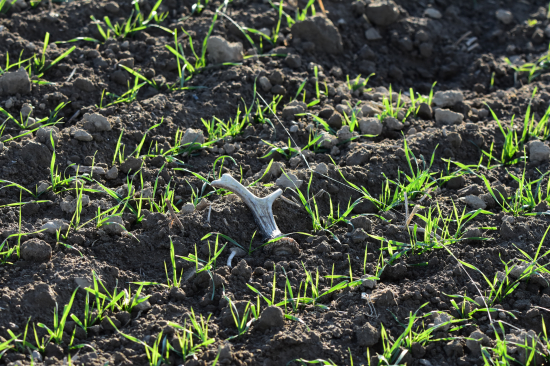 Dobrý start podzimní části.