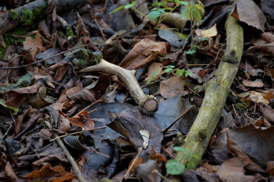 Ještě byl teplý:-)