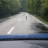 asi stopoval - potom si to rozmyslel