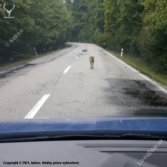 asi stopoval - potom si to rozmyslel