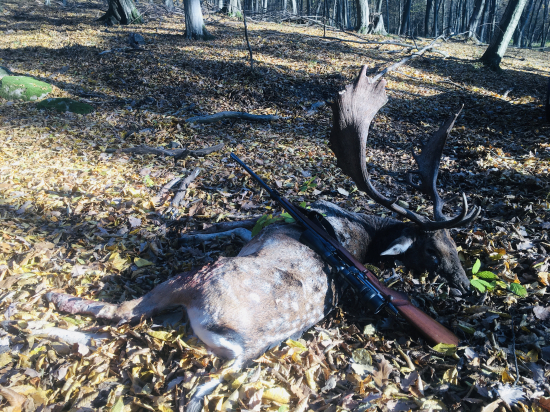 Môj prvý a hneď zlatý