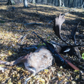 Môj prvý a hneď zlatý