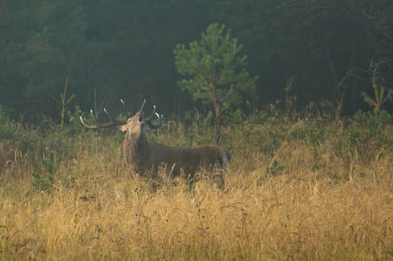 Už ich menej počuť_27