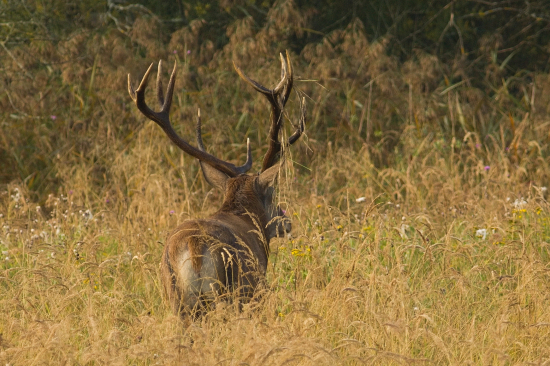 Skončili radovánky_31