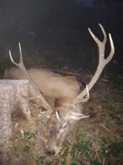 Moja strieborná trojka.