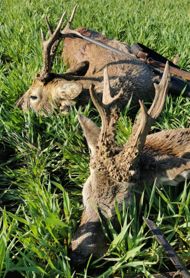 Dvaja starší vedľa seba