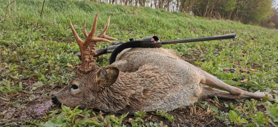 Ďalší z lepších