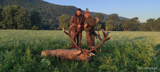 otec a syn,a jeleň IV. v.t.