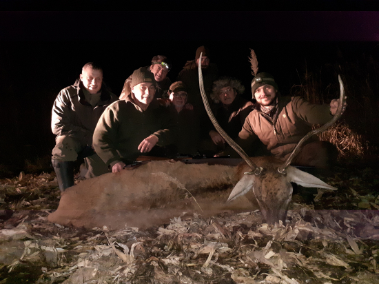 Životný jeleň.rarita II. V.t.