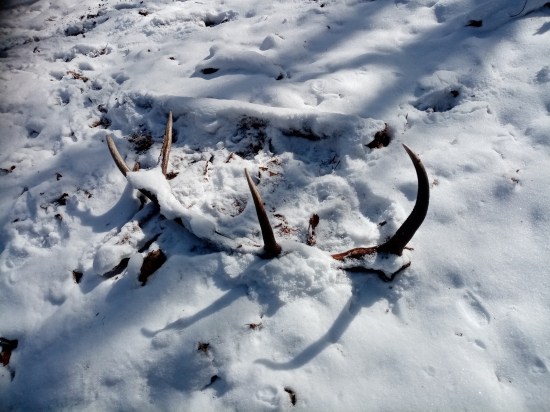 zasnežený a zaslúžený