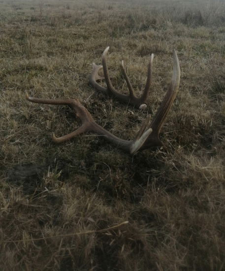 Neskutočne pocity...