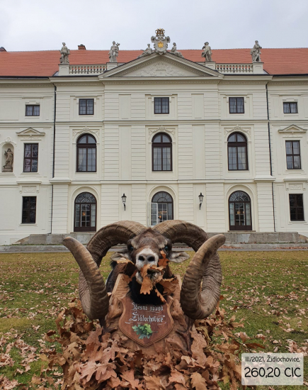 Nový světový rekord