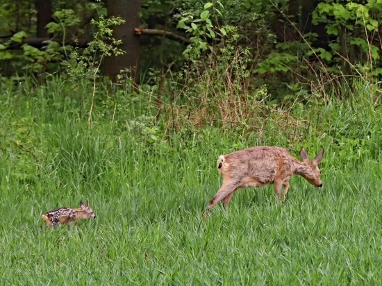 Prvé kroky do života