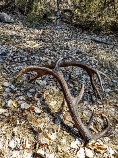 Nepravidelný 18 torak