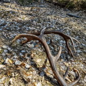 Nepravidelný 18 torak