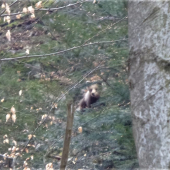 Ako by ma niekto pozoroval....