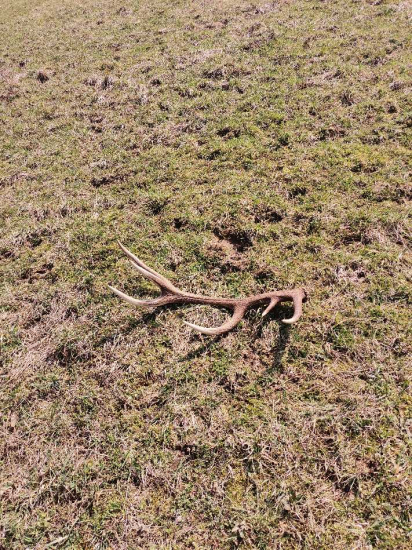 Prvo aprílový zhod