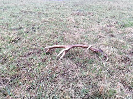 Druho aprílový zhod