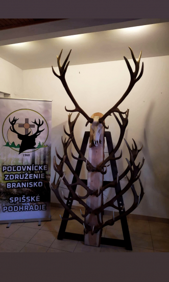 5 rokov života Jeleňa