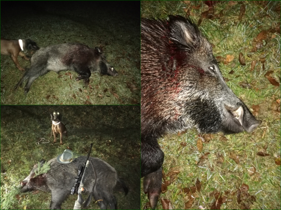 Spln má svoje čaro.