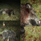 Spln má svoje čaro.