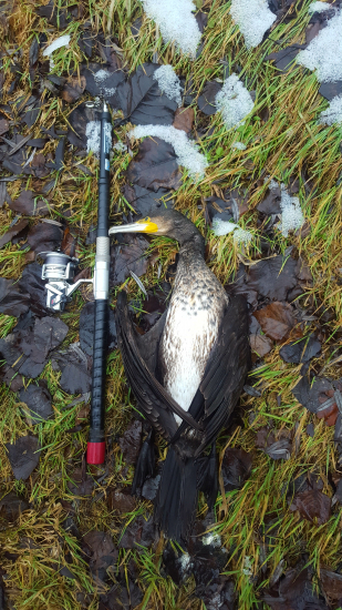 Zabral na trojhák :)