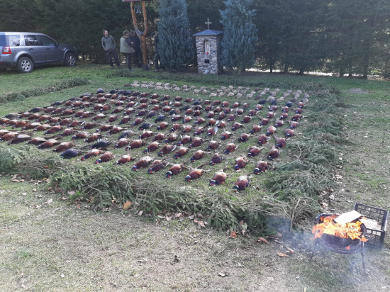Opět po roce