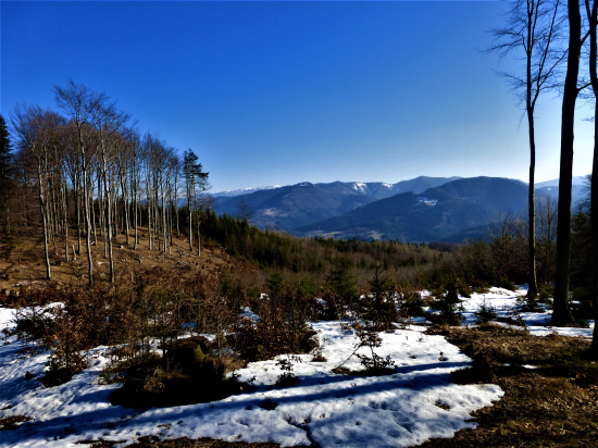 Z jarnej vychádzky