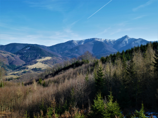 Z jarnej vychádzky 2