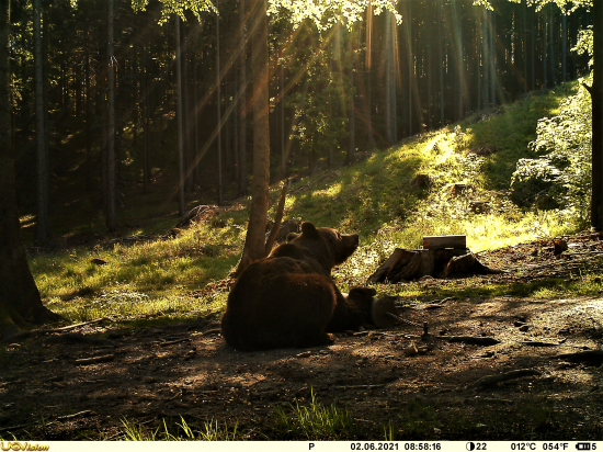 Mám rád slnečné lúče...