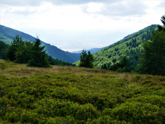 Malá Fatra