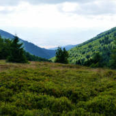Malá Fatra