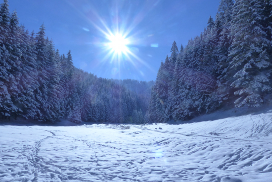 Keď sa zima nechce vzdať