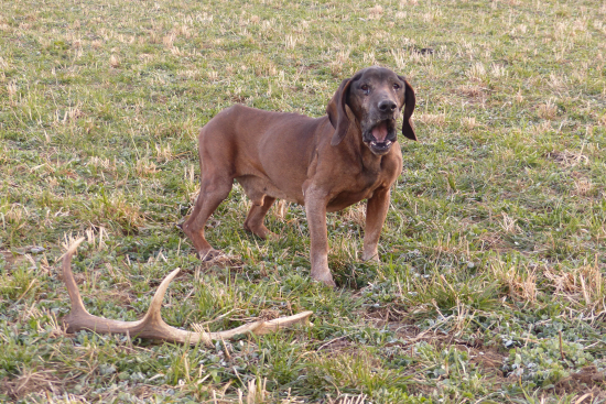 Už navždy stíchol jeho zvučný hlas.