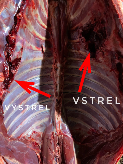 6,5 creedmore Hornady ELD- Match