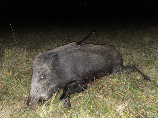 Test nového kalibru