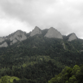 TRI KORUNY