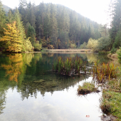 BLAJZLOCH