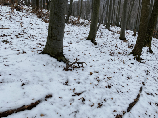 Aj minuloročný poteší